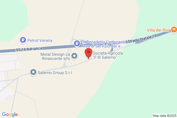 Salerno Flli Snc luigi