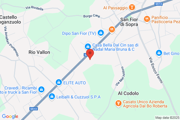 A.S.D. Palabiliardo Conegliano
