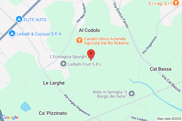 L'Ecologica Spurghi