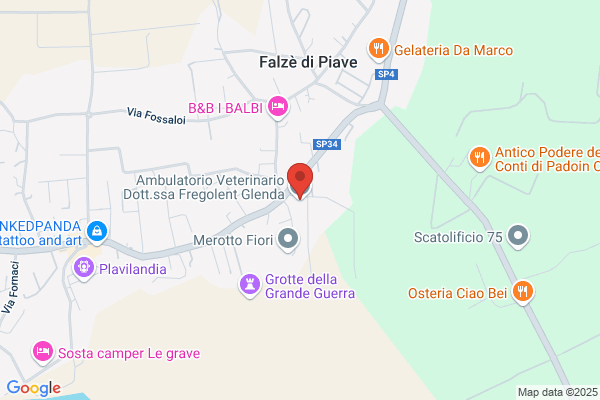 Ambulatorio Veterinario Dott.ssa Glenda Fregolent