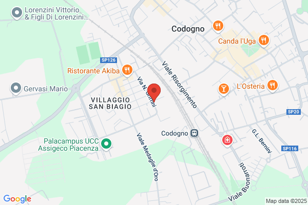 Palestra Tours