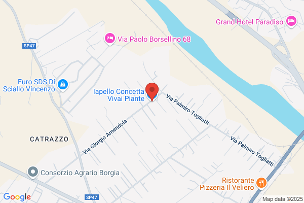Iapello Concetta Vivai Piante