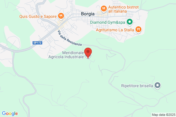 Meridionale Agricola Industriale