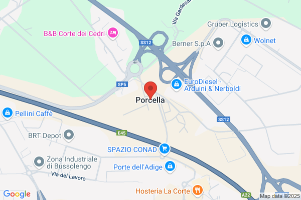 Porcella aurelio (Ing.)