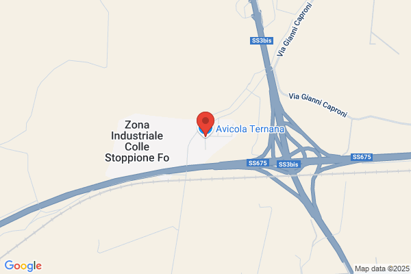 Avicola Ternana