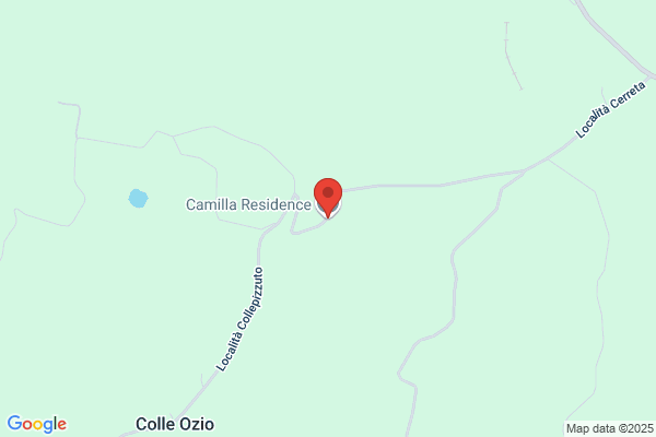 Camilla Residence