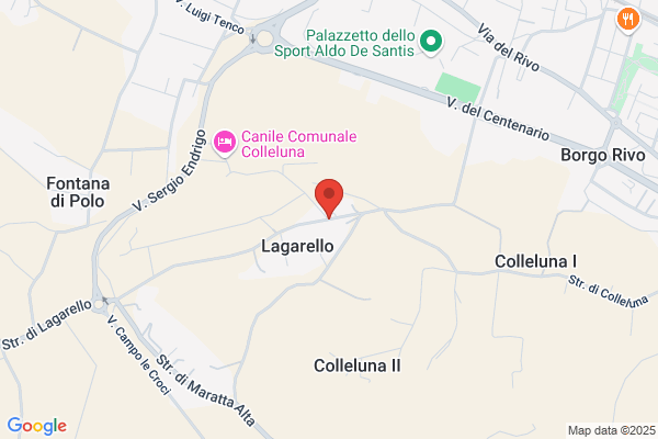 Un Cavallo per Amico
