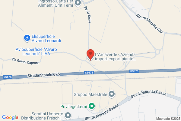 Vivaio L'Arcaverde