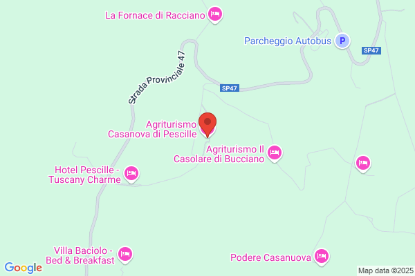 Gigli Francesco Saverio
