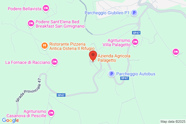 Palagetto Srl
