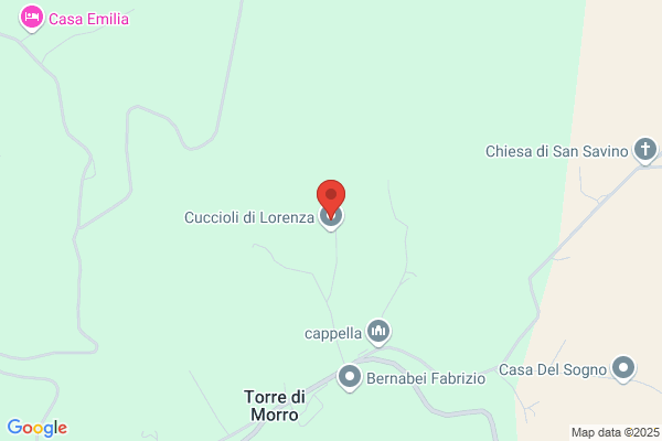 Allevatori di Cani Lorenza Pucciarelli