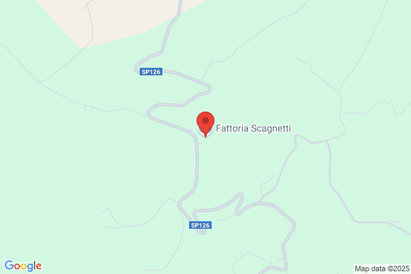 Scagnetti goffredo