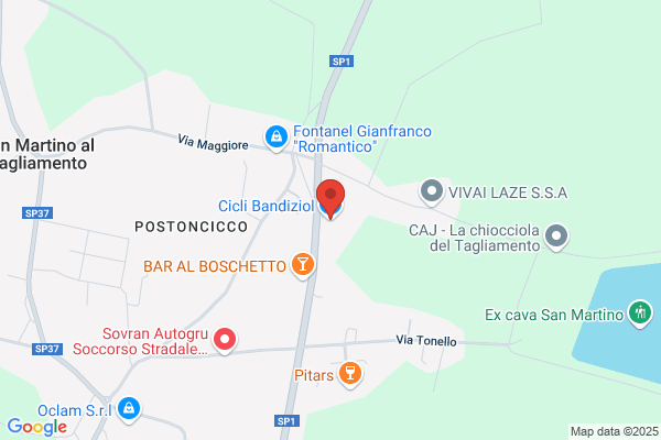 Cicli Bandiziol