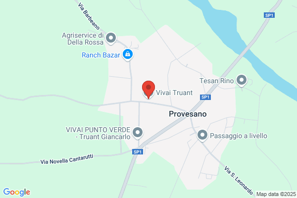 Truant gino