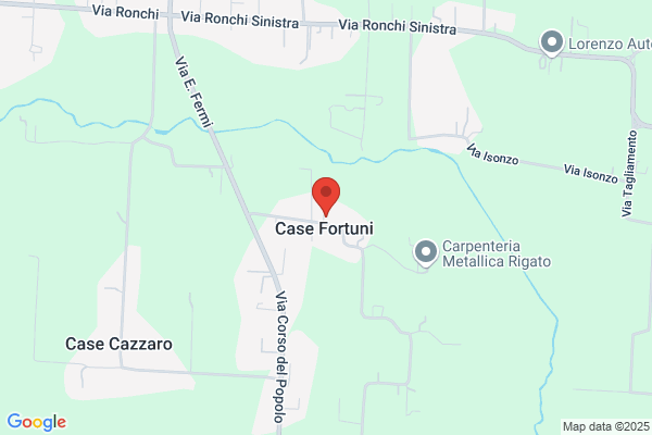 Fortuni Moreno Carrelli Elevatori e Trasportatori