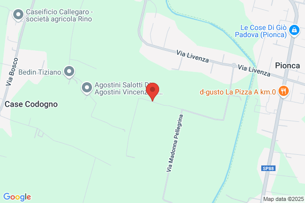 Impresa Edile Filippi