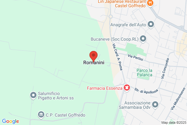 Romanini piero