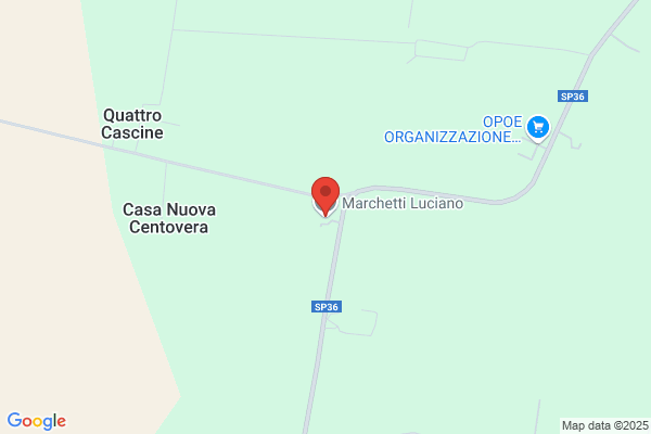 Zanrei luciano