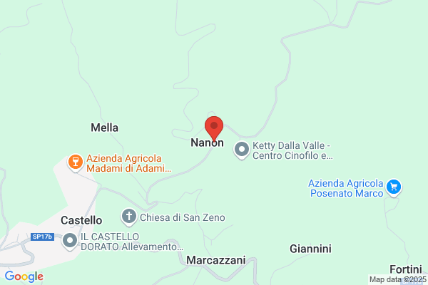 Panarotto paolino
