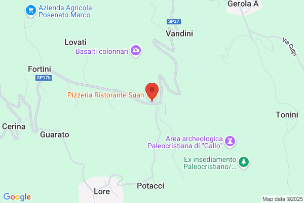 Pizzeria Ristorante Suan Snc