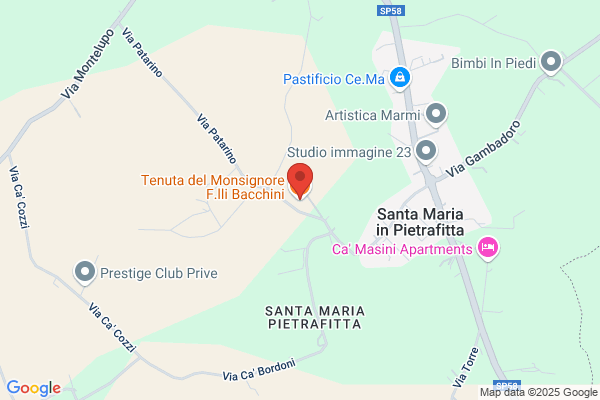 Maccacaro Bacchini danila