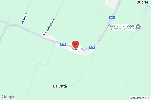 Landi Gino