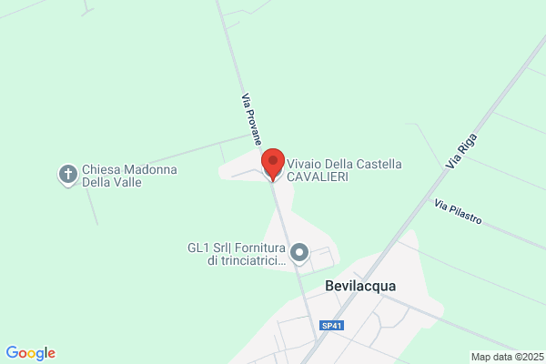 Vivaio della Castella