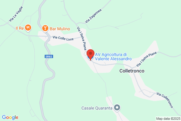 P. & F. Edilcave Di Federici Adangela s.A.S.