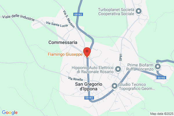 Fiamingo Concetta