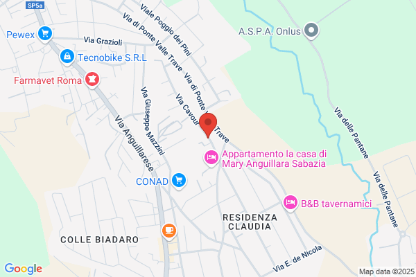 Giuseppe Abate E Sergio Spadoni Sdf