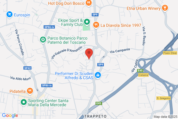 Lo Sciuto Group