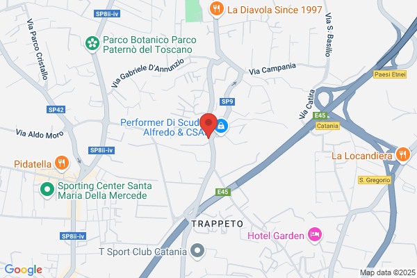 Noleggio Bus D'Amico
