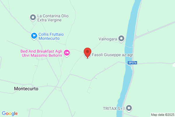 Fasoli Giuseppe