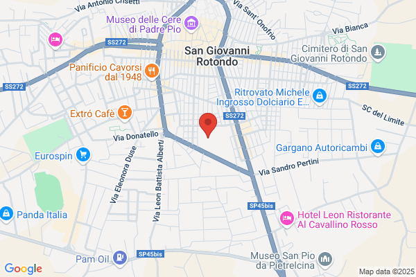 Istituto Professionale