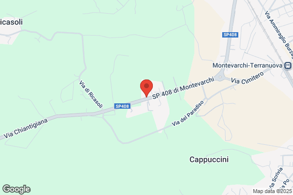 V.F. S.R.L.S.