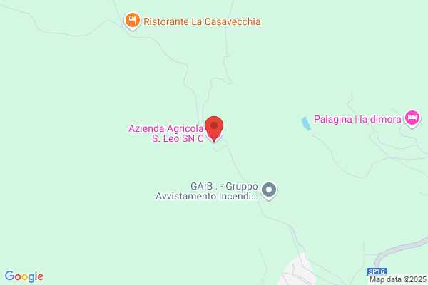 Perferi leo