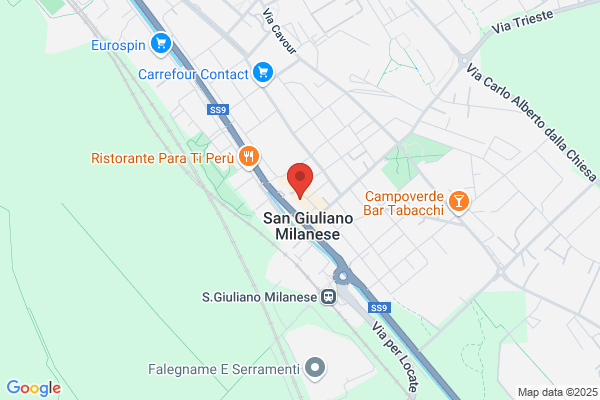 Tosi maurizio