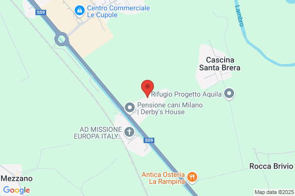 S.S.C. Societa Sviluppo Commerciale (S.R.L.)