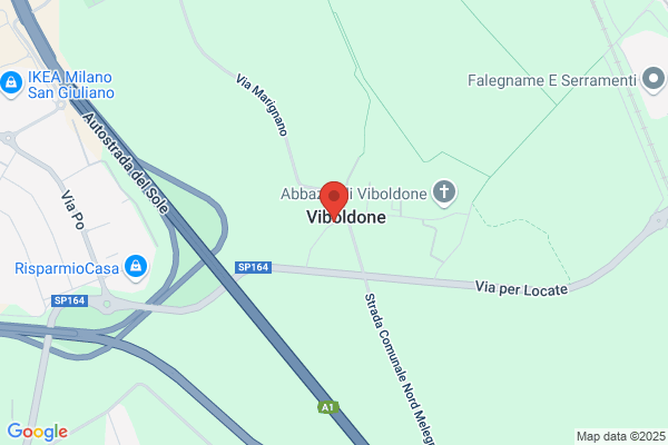 Pizzeria Vecchia Viboldone