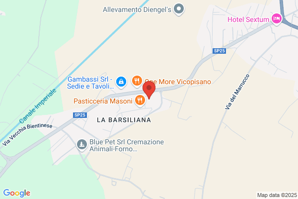 Grifols Italia Spa