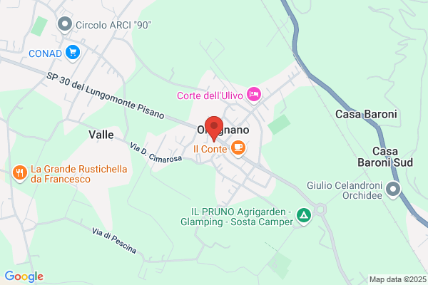 Tua Assicurazioni