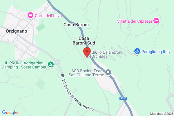 Zini claudio