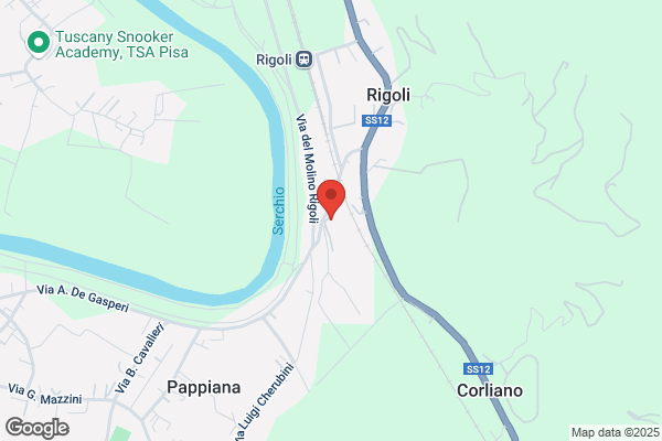 Pacini camillo