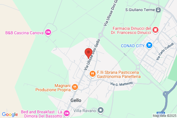Franchi Carlo