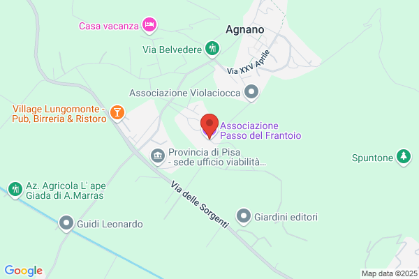 F.P. Di Frediani V. & Pellegrini S.