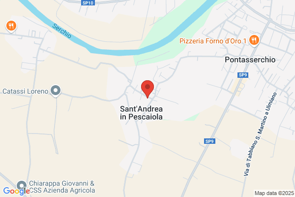 Andreini Dr. Fabrizio