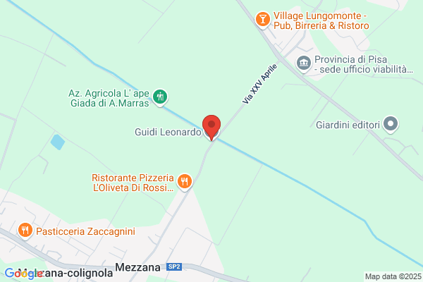 Guidi Leonardo