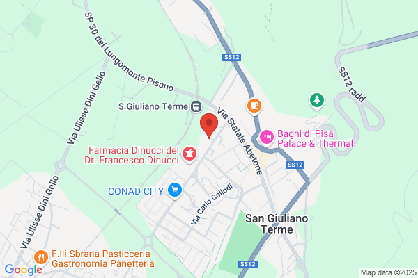 Pubblica Assistenza