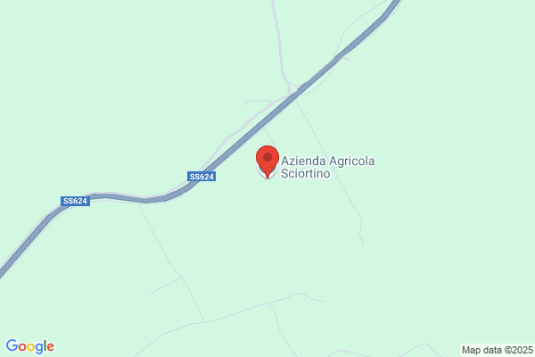 I.C.I.E.Di Sciortino E C. Snc