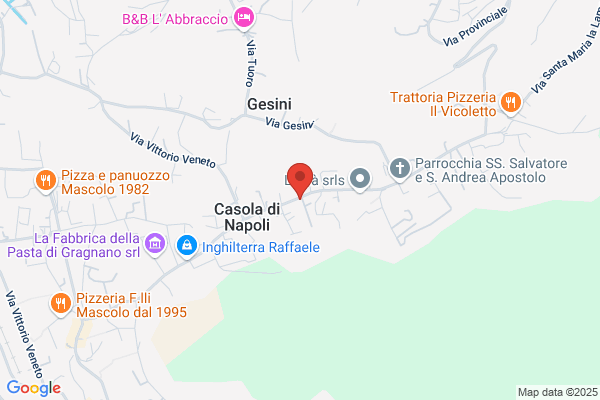 Sagi Moda Sas Di Saggese Francesco